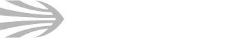 Pinnacle Precision Logo