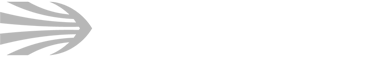 Pinnacle Precision Logo
